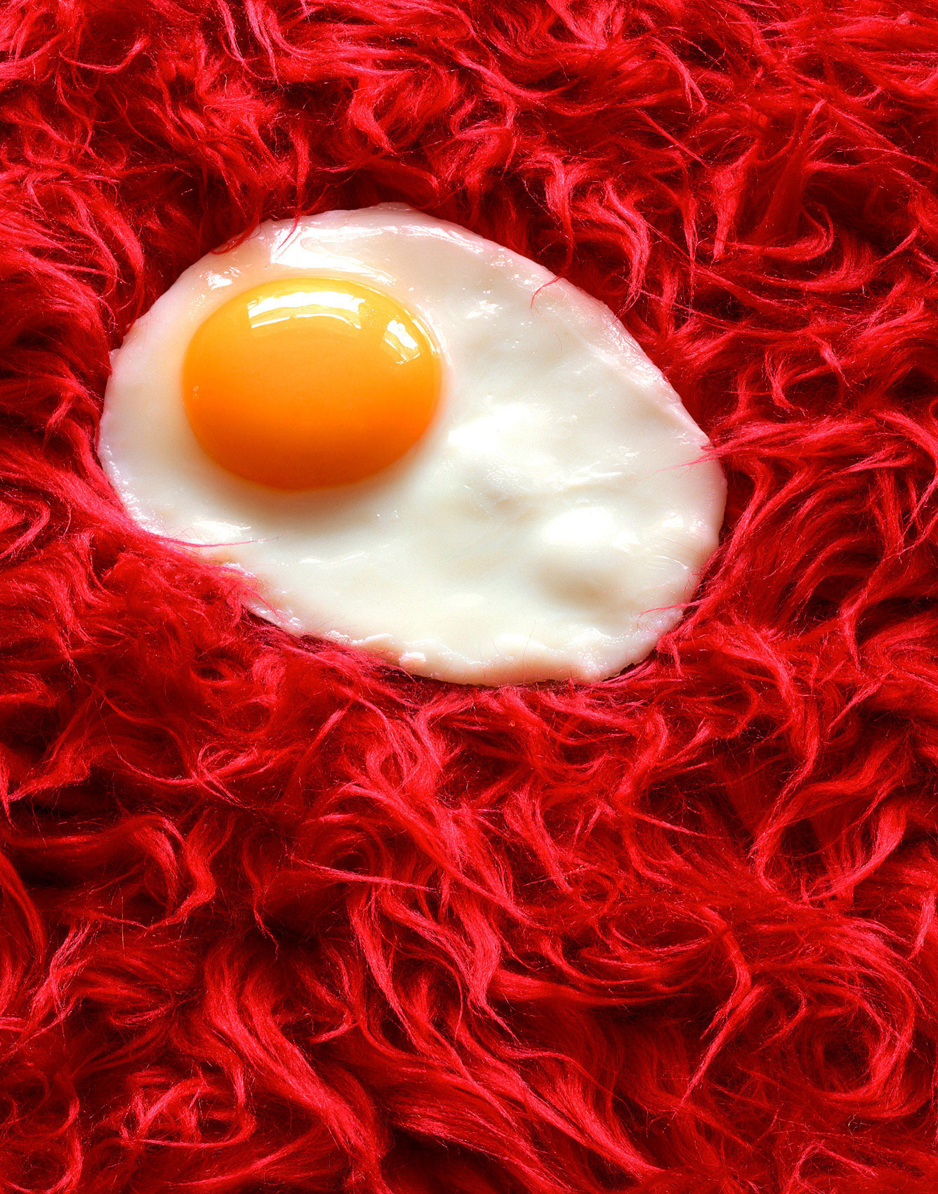 Egg-2020